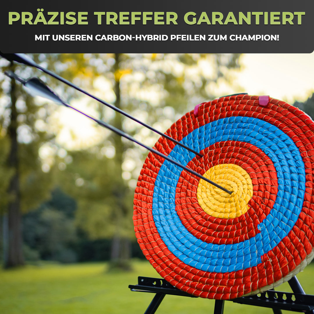 6er Set Pfeile mit Metallspitze